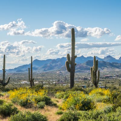 An overlooking view of nature on the Lost Dutchman trail