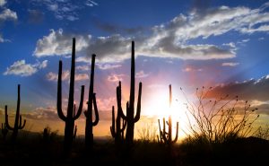 Gold Canyon desert sunset